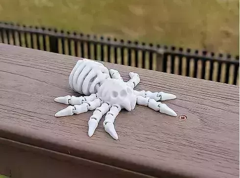 Flexi Spider skeleton 3D print model