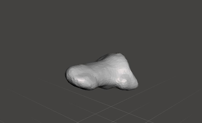 Great toe distal phalanx - left foot