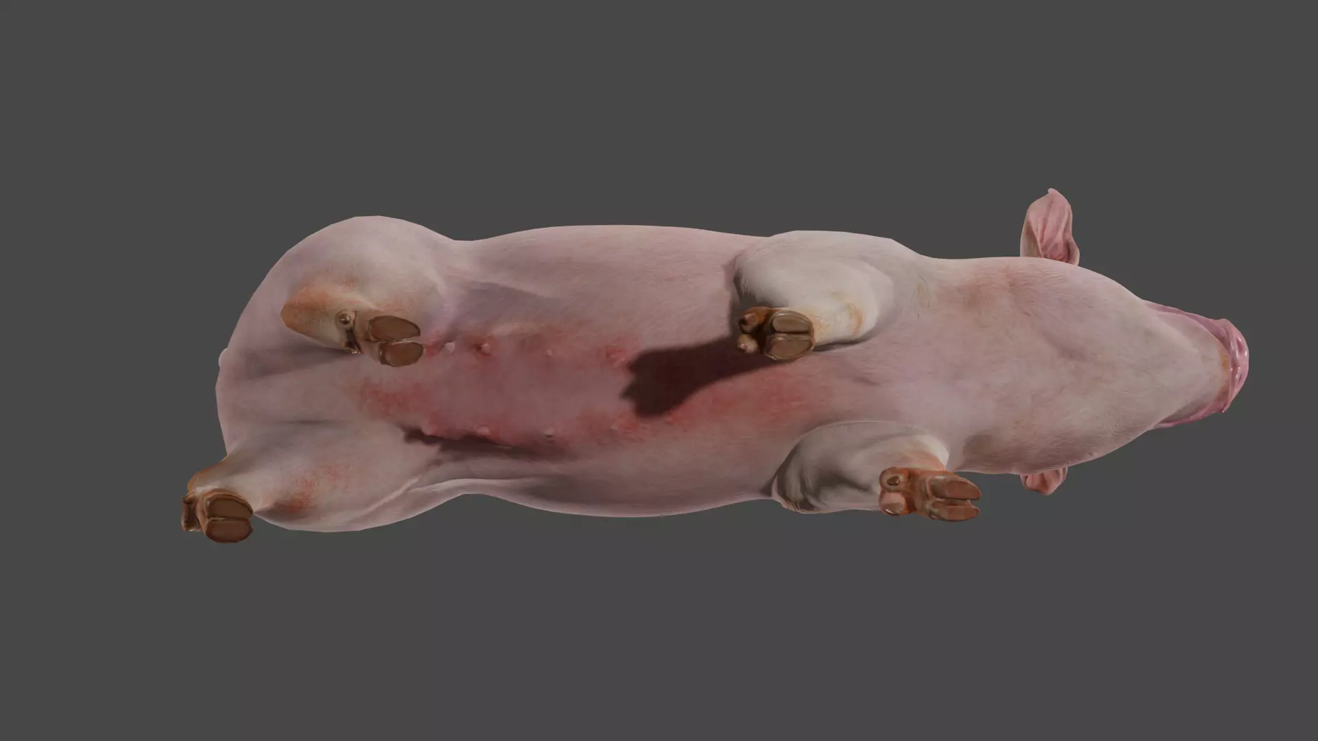 pig in pink 3D model_8
