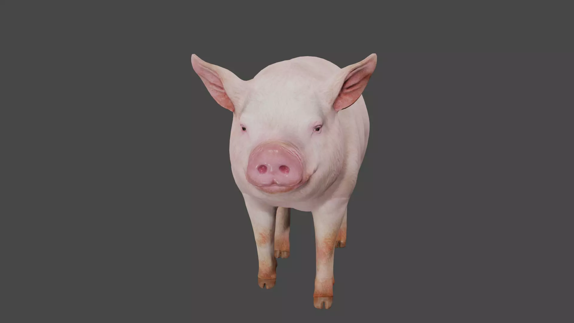 pig in pink 3D model_3