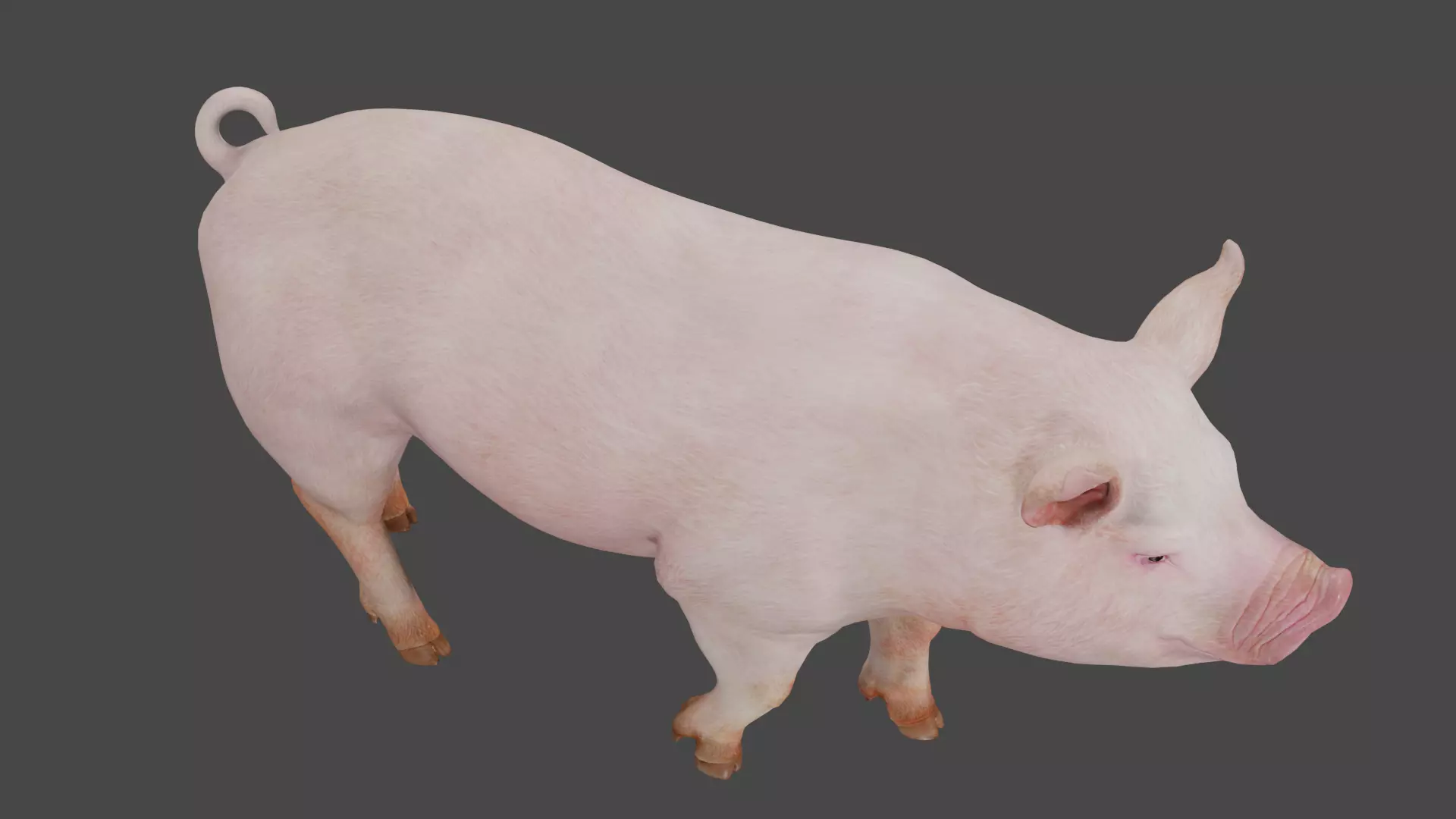 pig in pink 3D model_7