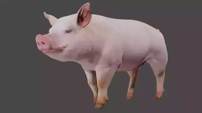 pig in pink
