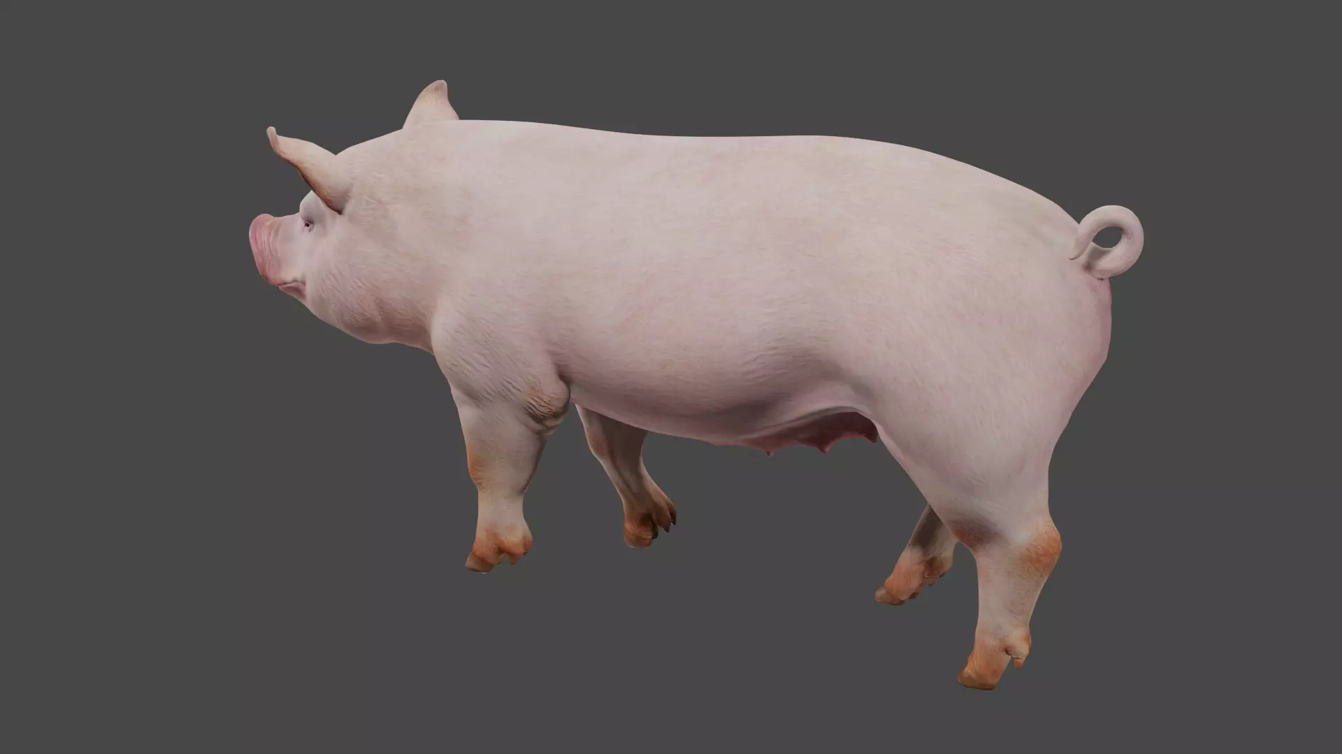 pig in pink 3D model_4