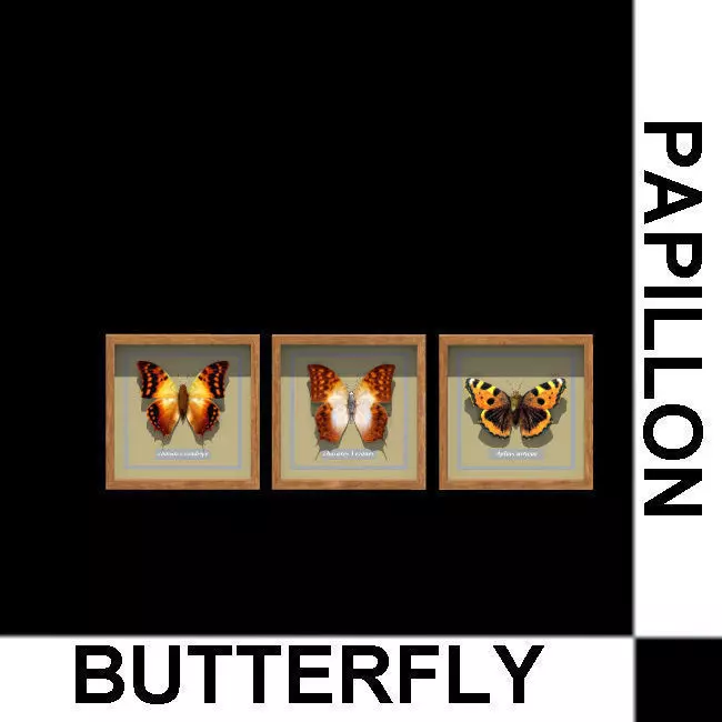 decoration butterfly 3D model_0