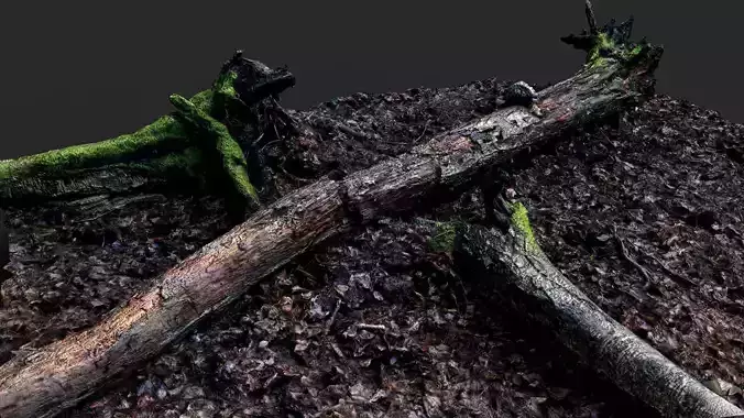 forest ground broken mossy tree trunks PBR photogrammetry