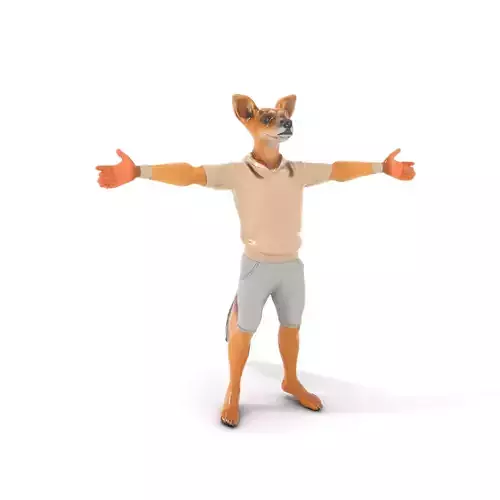 Anthropomorphic Fox Character Model Pack for Animation