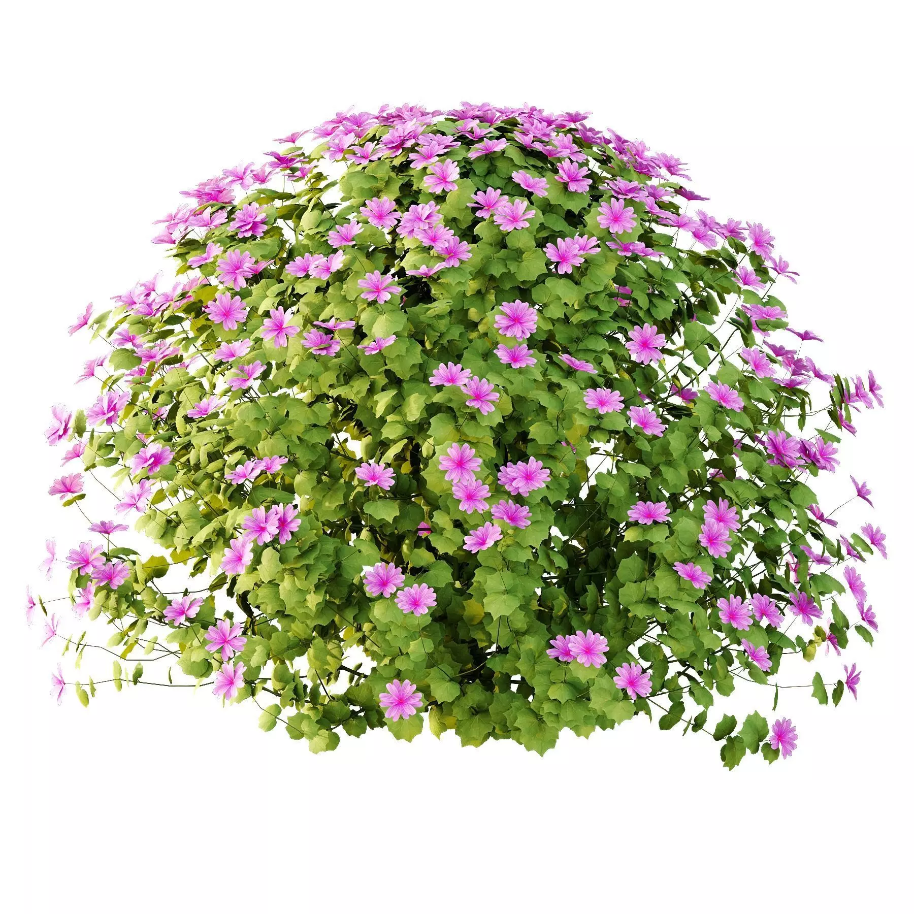 Excellent collection of plants Bush  400 Different Models _192