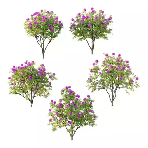 Excellent collection of plants Bush  400 Different Models _83