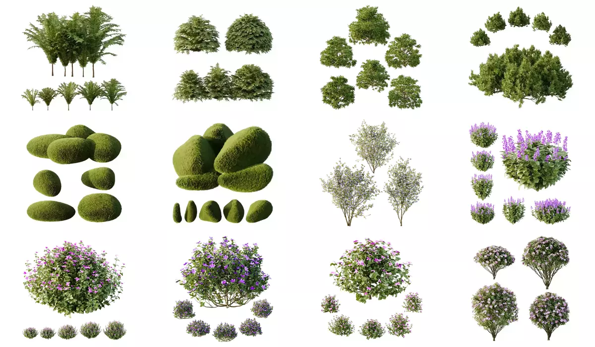 Excellent collection of plants Bush  400 Different Models _4