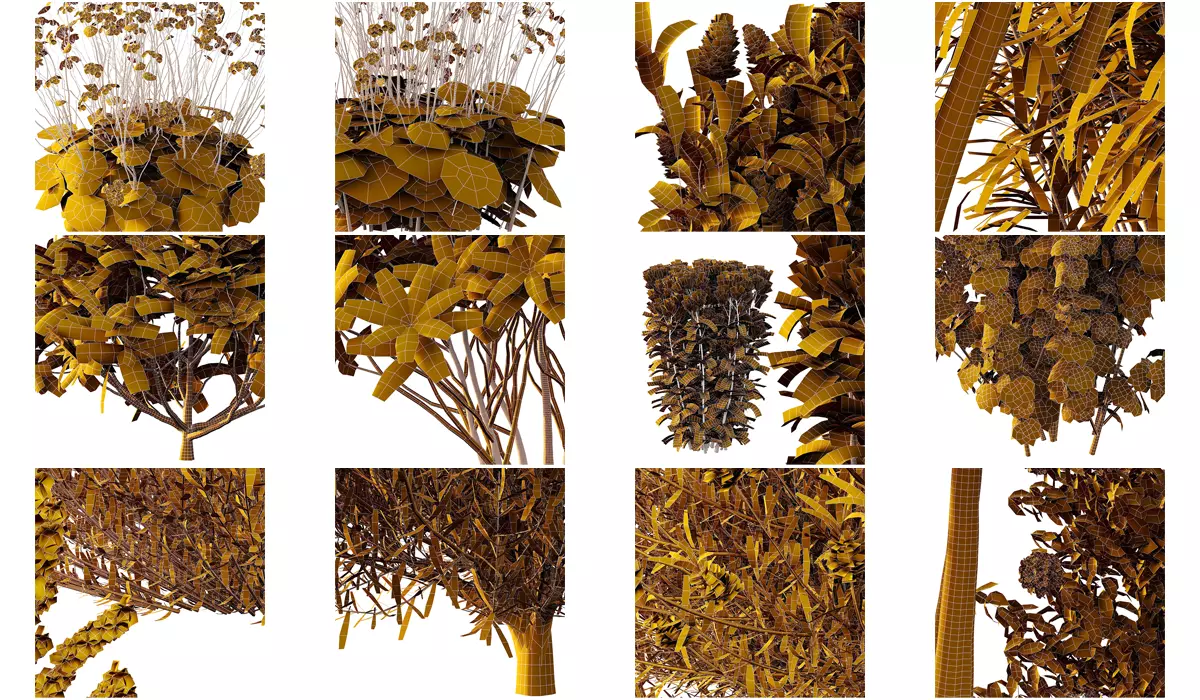 Excellent collection of plants Bush  400 Different Models _17