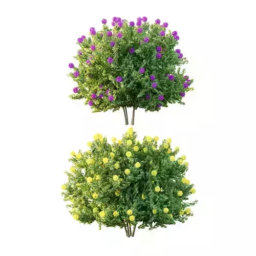 Excellent collection of plants Bush  400 Different Models _84