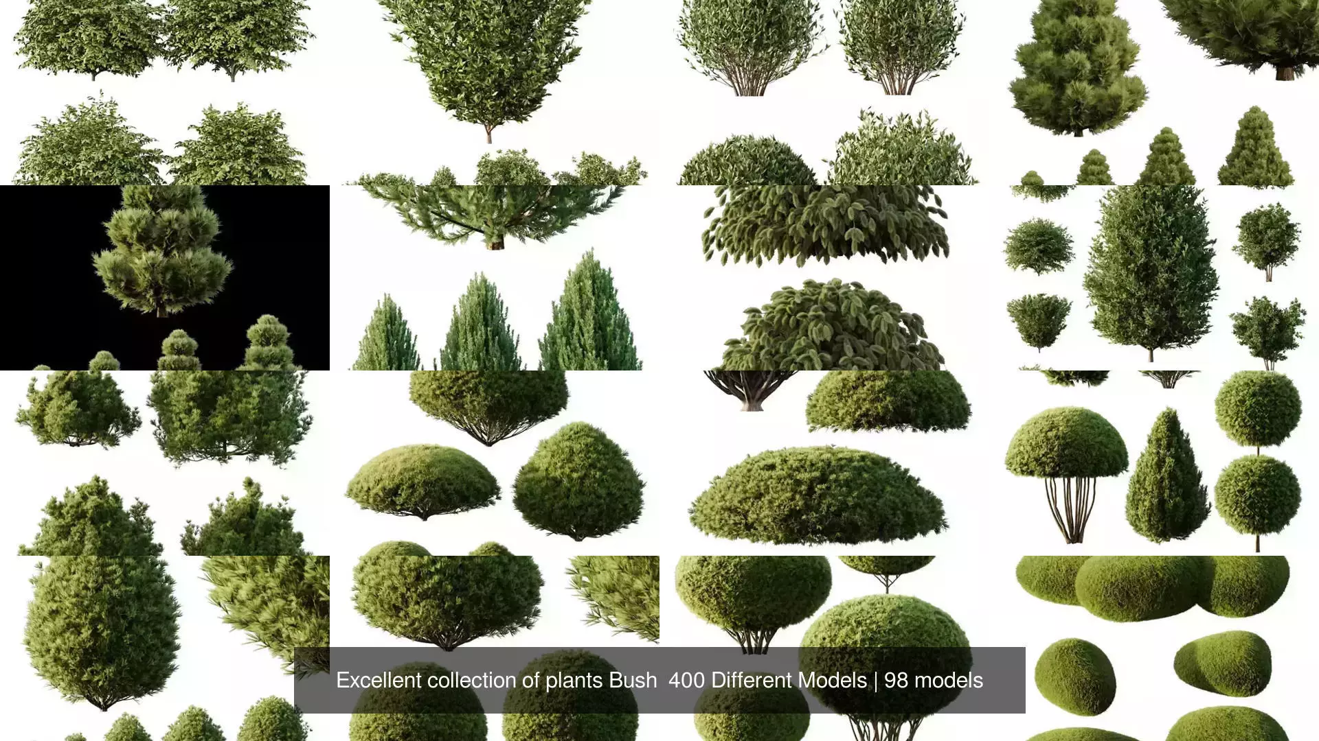 Excellent collection of plants Bush  400 Different Models _1