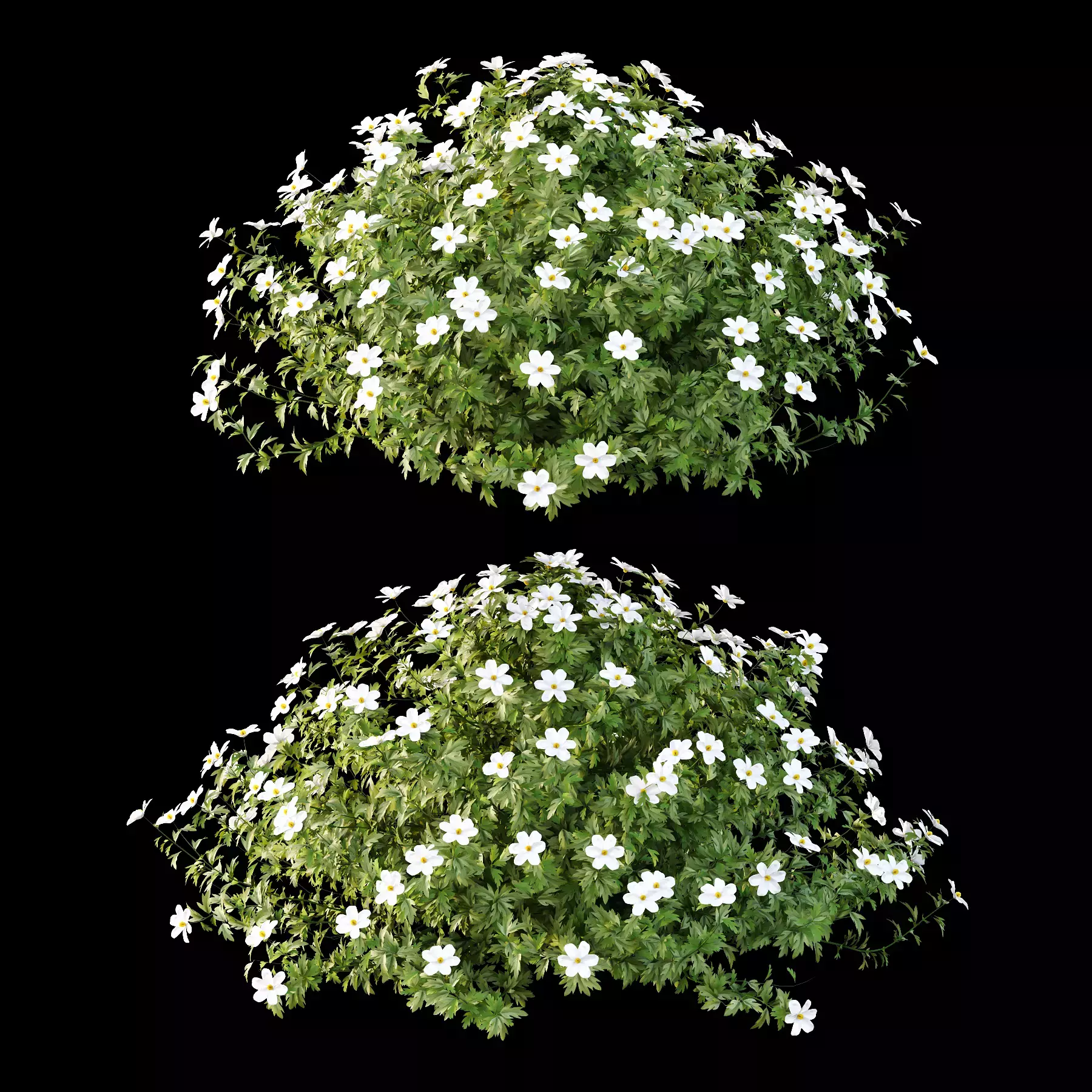 Excellent collection of plants Bush  400 Different Models _80