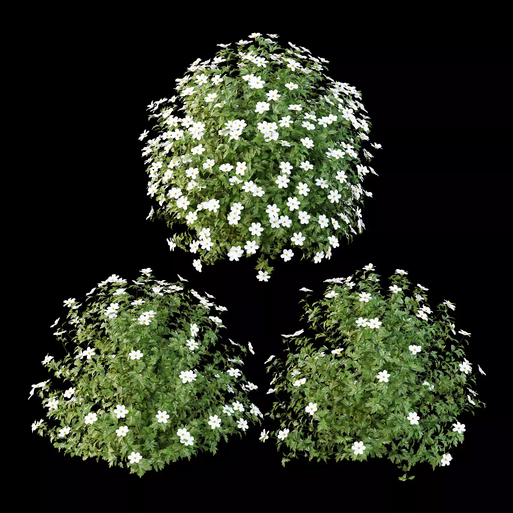 Excellent collection of plants Bush  400 Different Models _81