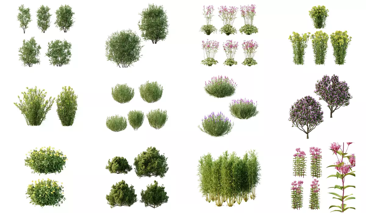 Excellent collection of plants Bush  400 Different Models _15