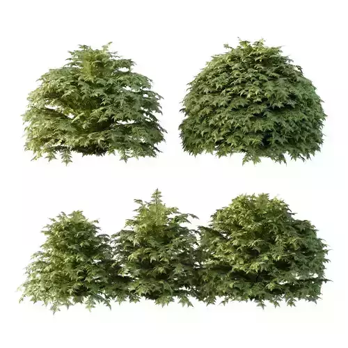 Excellent collection of plants Bush  400 Different Models _42