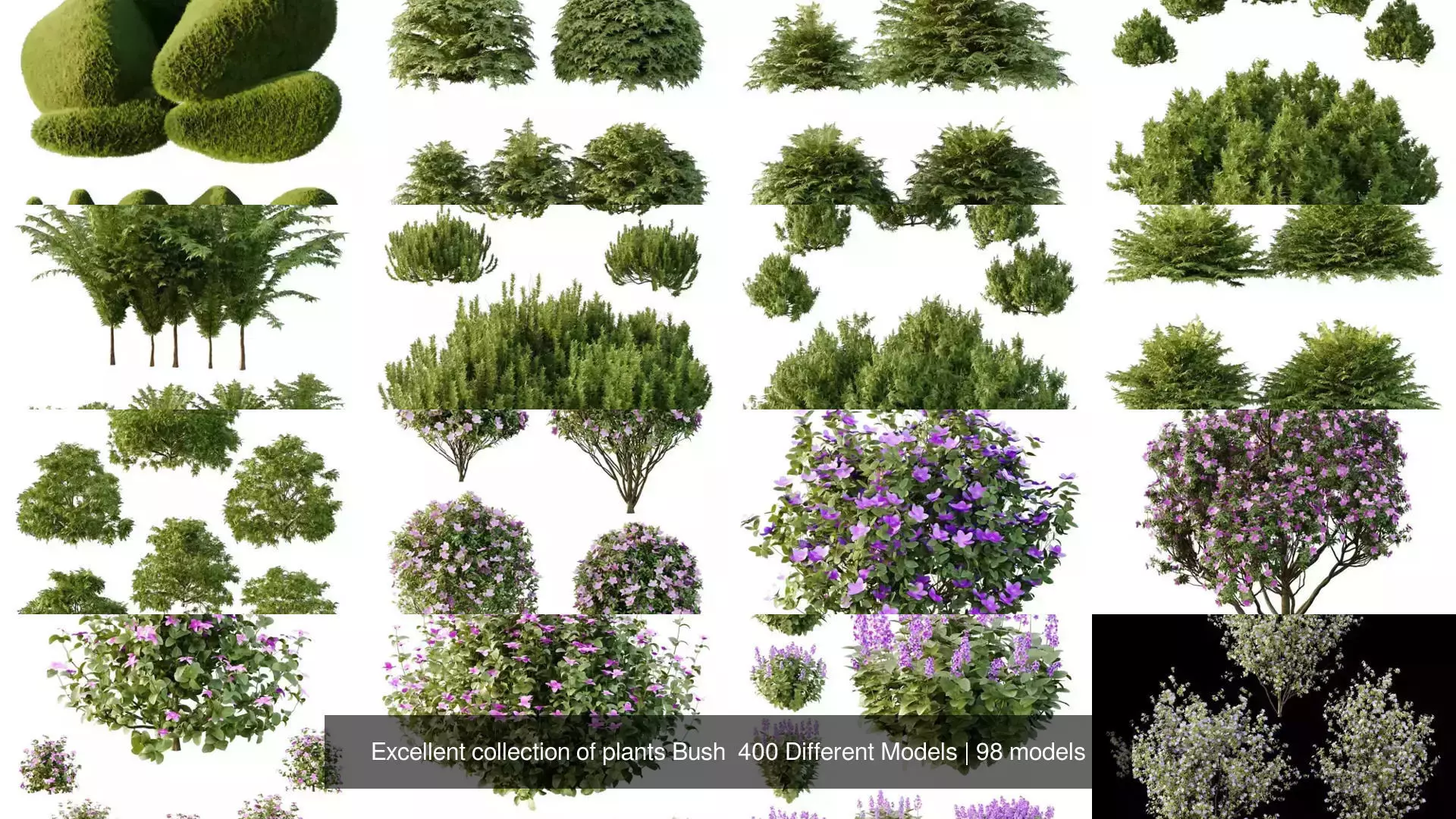 Excellent collection of plants Bush  400 Different Models _3