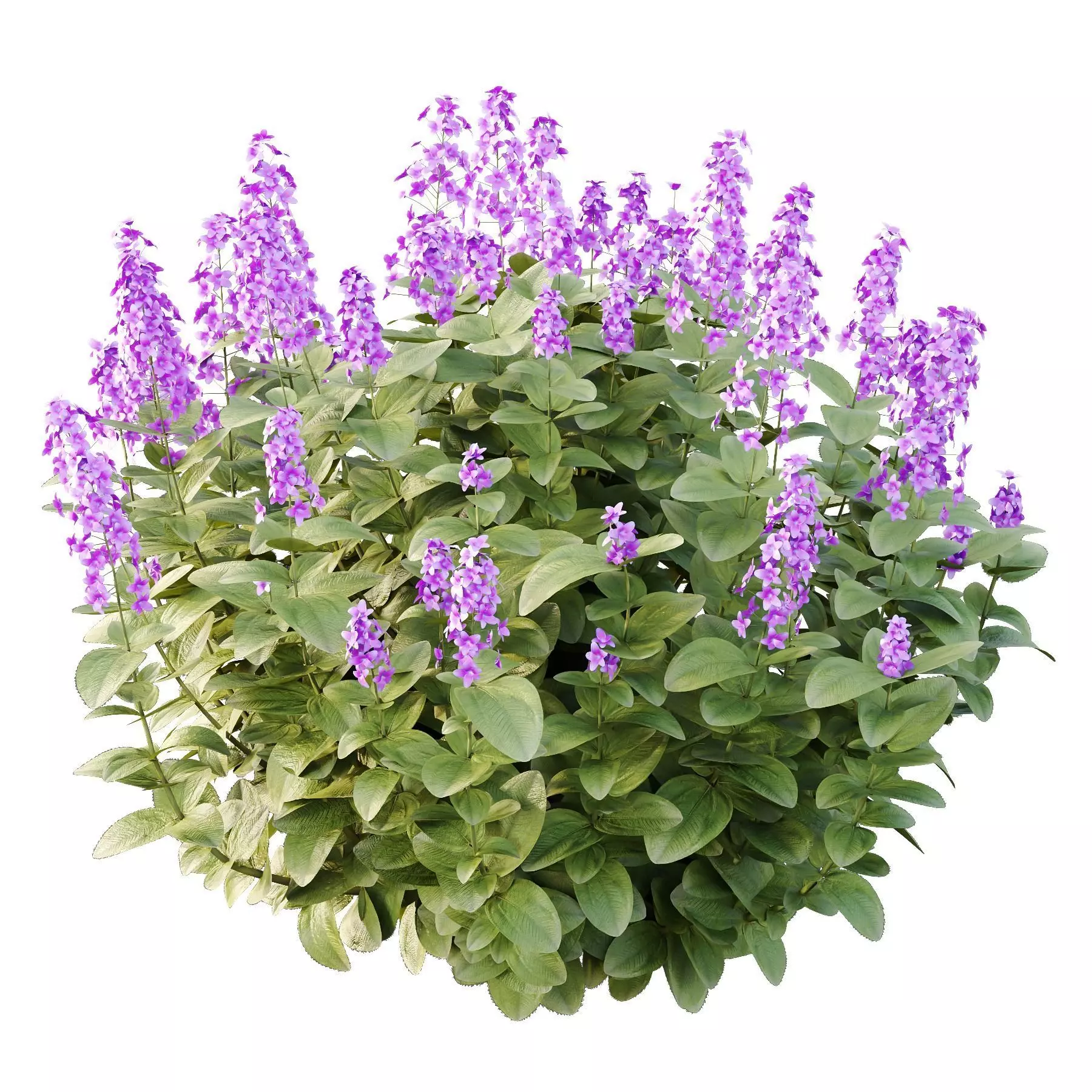 Excellent collection of plants Bush  400 Different Models _164