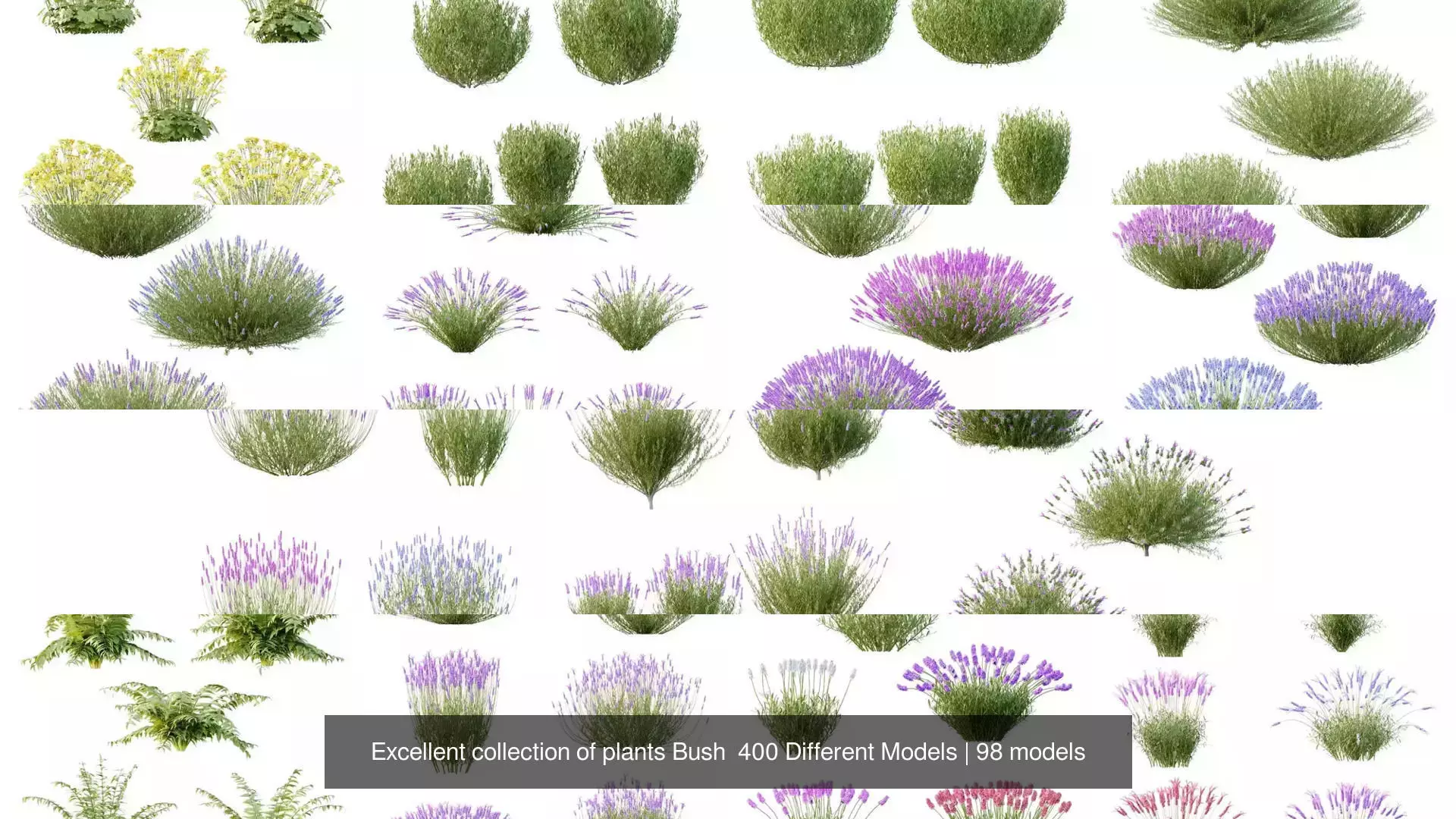 Excellent collection of plants Bush  400 Different Models _11