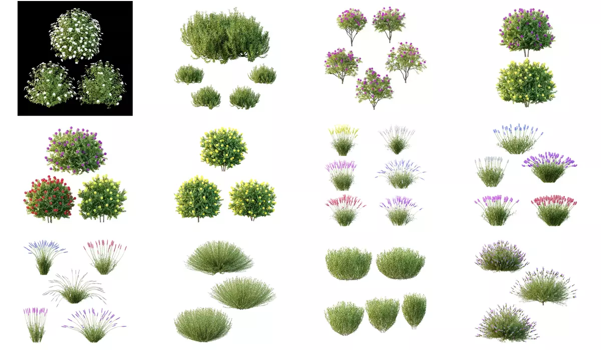 Excellent collection of plants Bush  400 Different Models _8