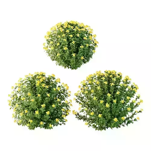 Excellent collection of plants Bush  400 Different Models _33