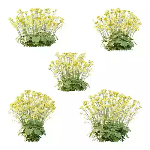 Excellent collection of plants Bush  400 Different Models _31