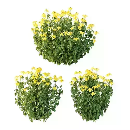 Excellent collection of plants Bush  400 Different Models _86