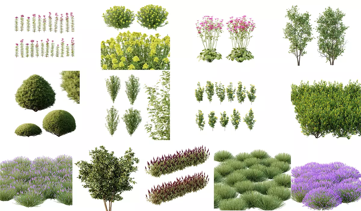 Excellent collection of plants Bush  400 Different Models _16