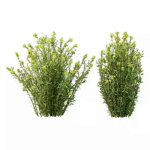 Excellent collection of plants Bush  400 Different Models _106