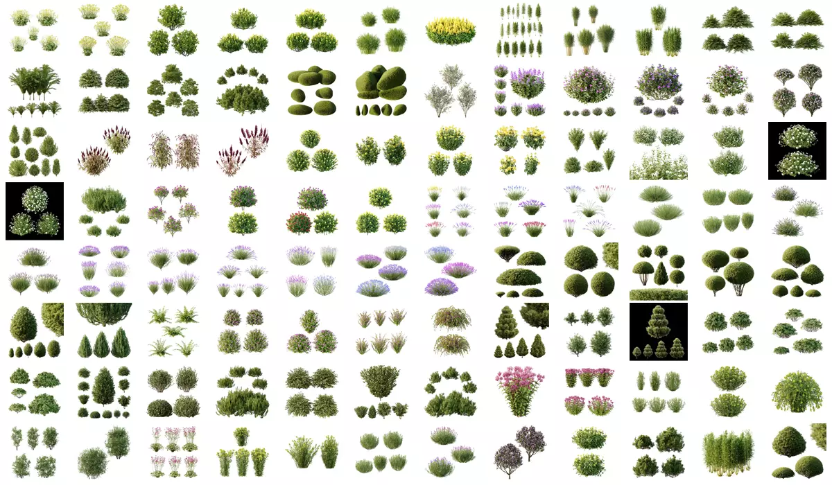 Excellent collection of plants Bush  400 Different Models _0