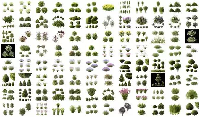 Excellent collection of plants Bush  400 Different Models 