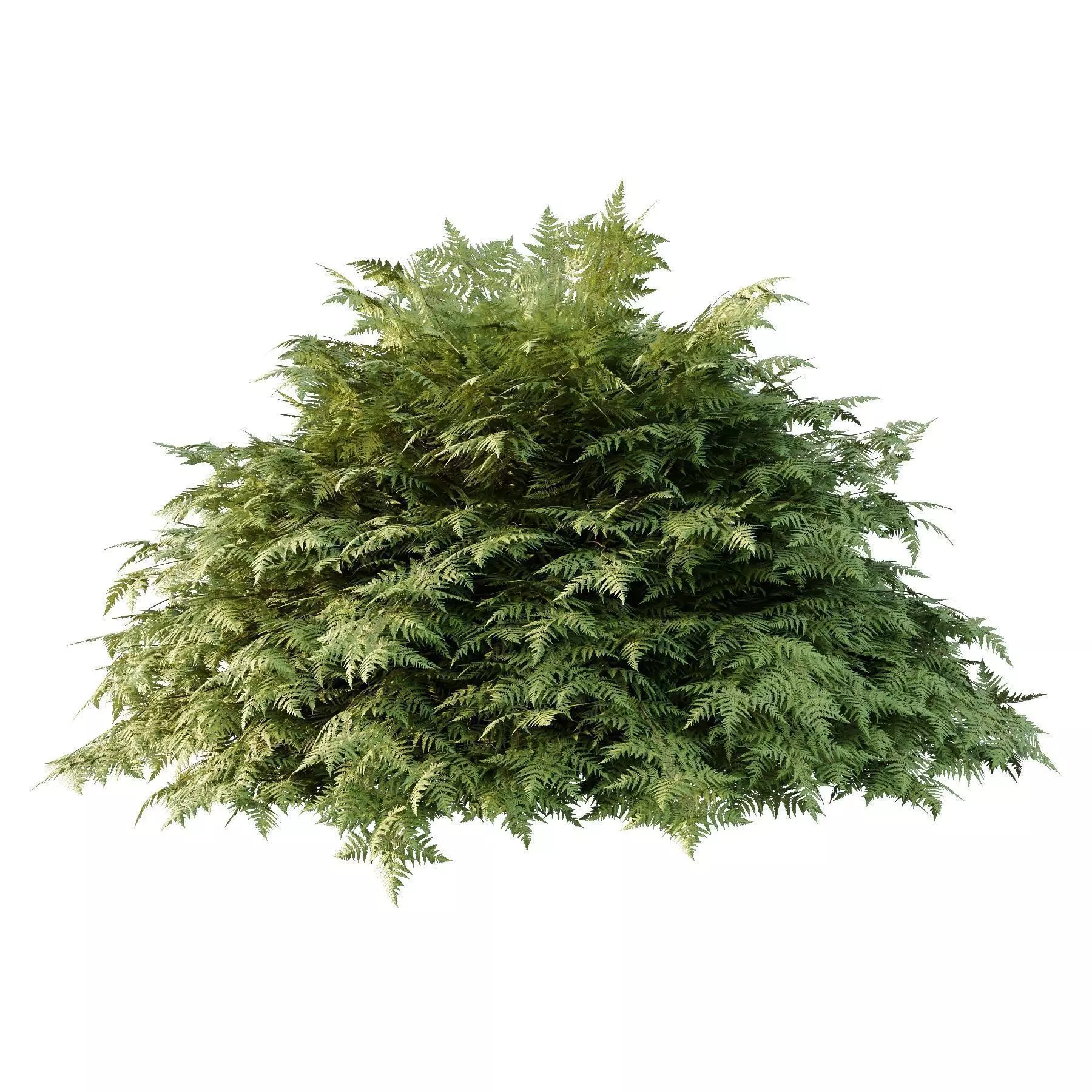 Excellent collection of plants Bush  400 Different Models _141