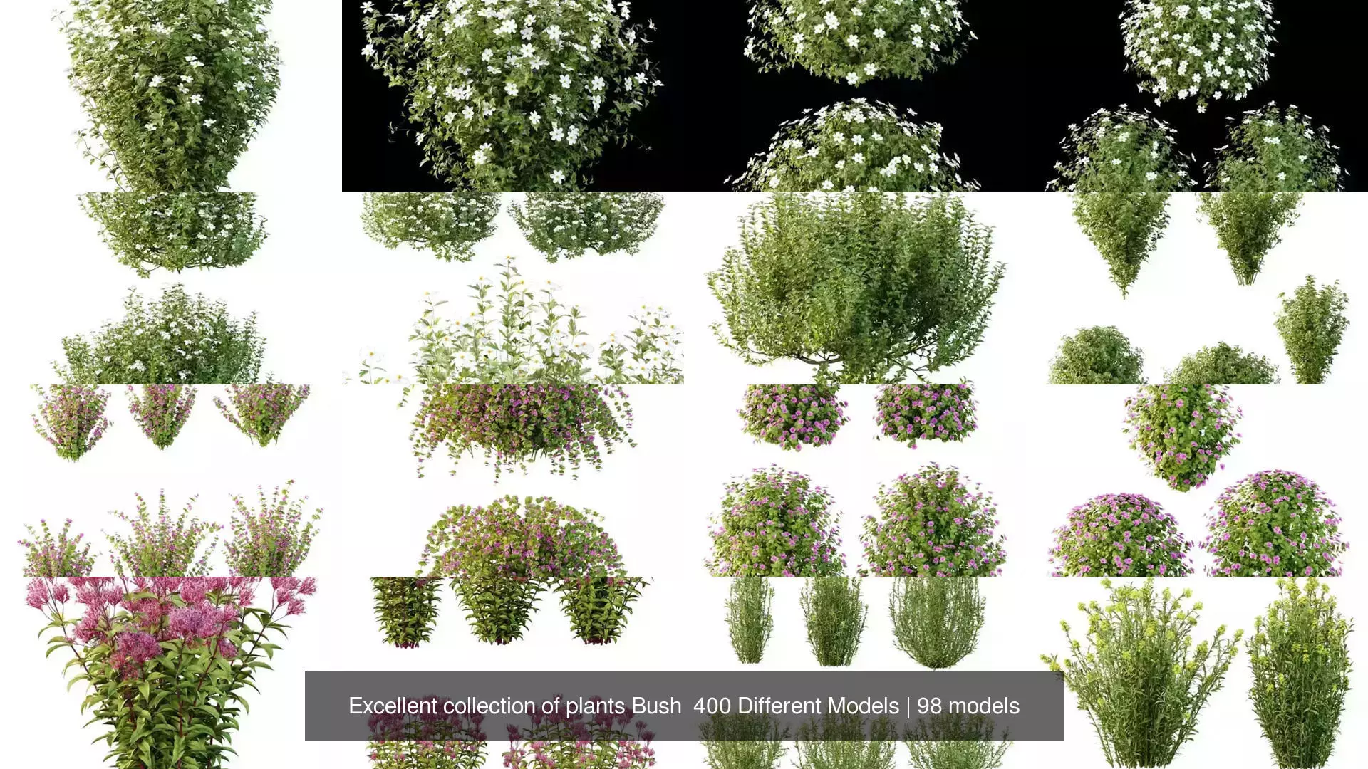 Excellent collection of plants Bush  400 Different Models _7