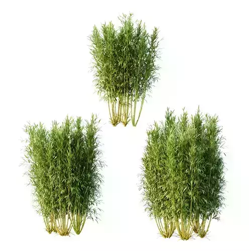 Excellent collection of plants Bush  400 Different Models _24