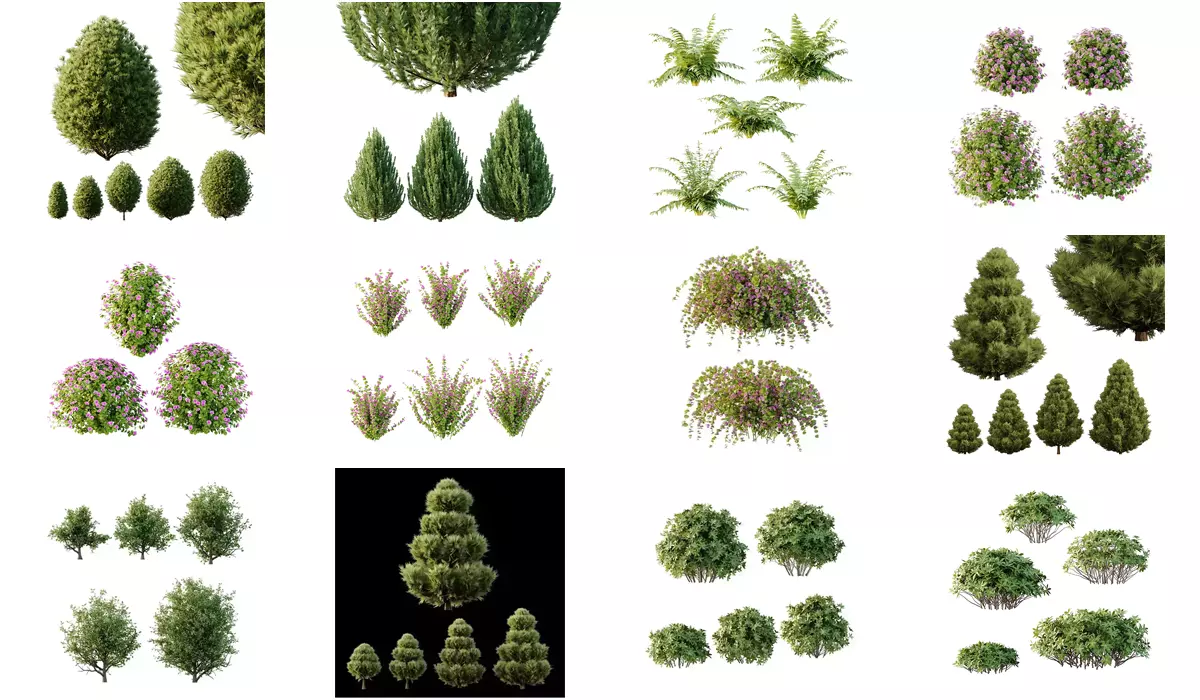 Excellent collection of plants Bush  400 Different Models _12