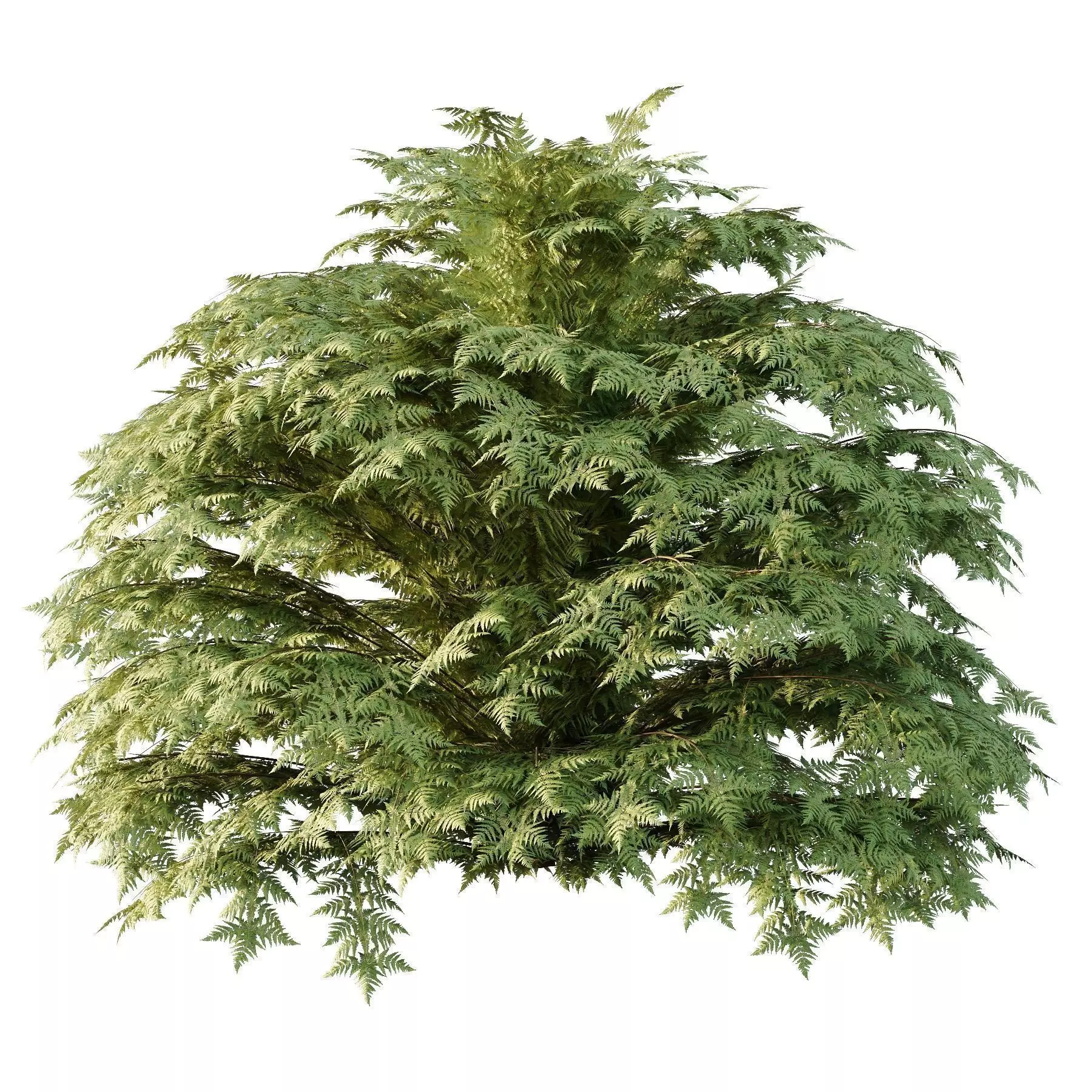 Excellent collection of plants Bush  400 Different Models _118