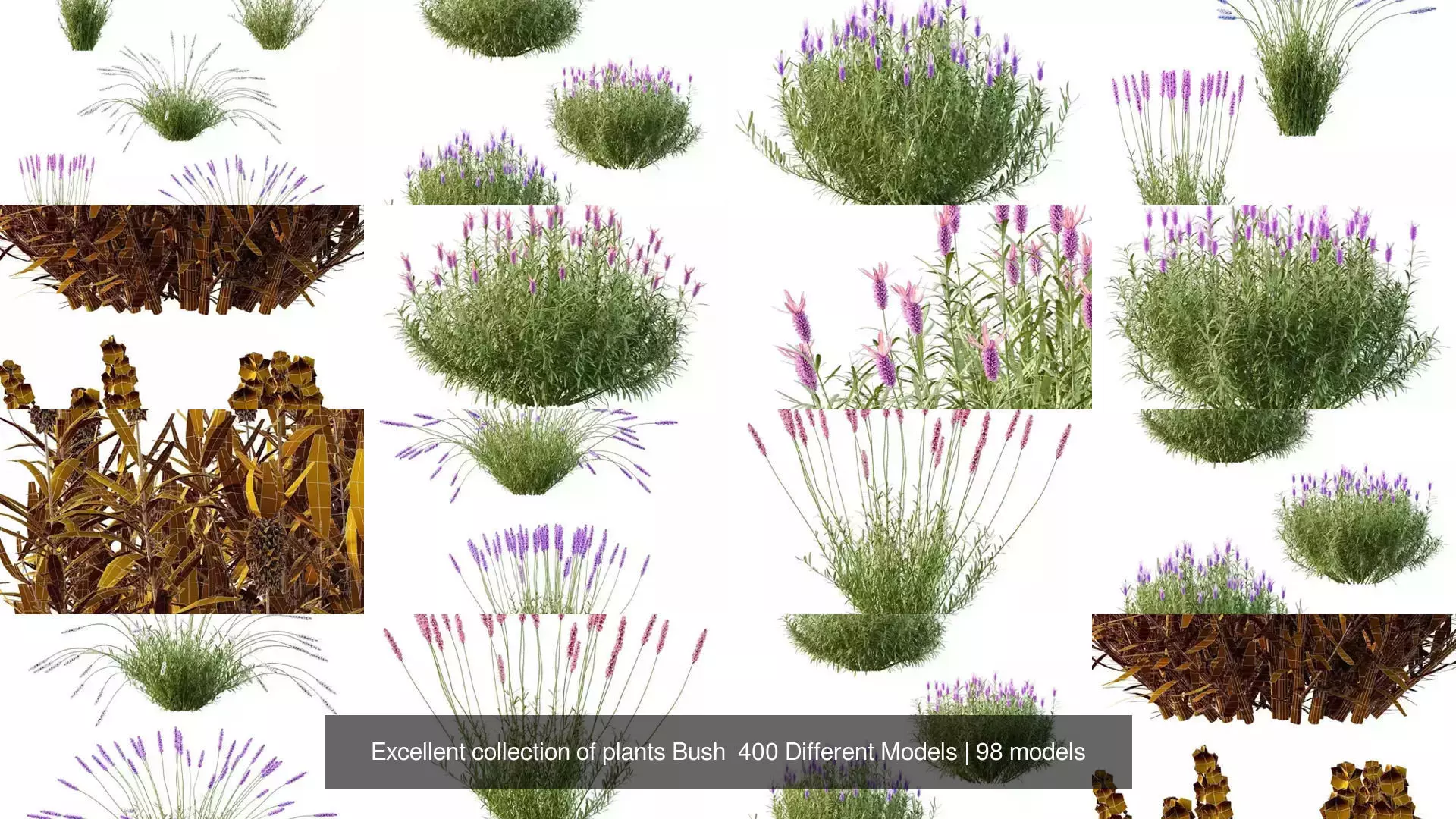 Excellent collection of plants Bush  400 Different Models _13