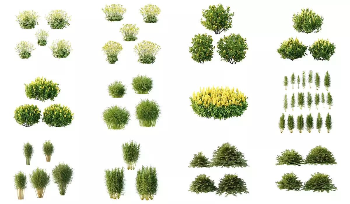 Excellent collection of plants Bush  400 Different Models _2