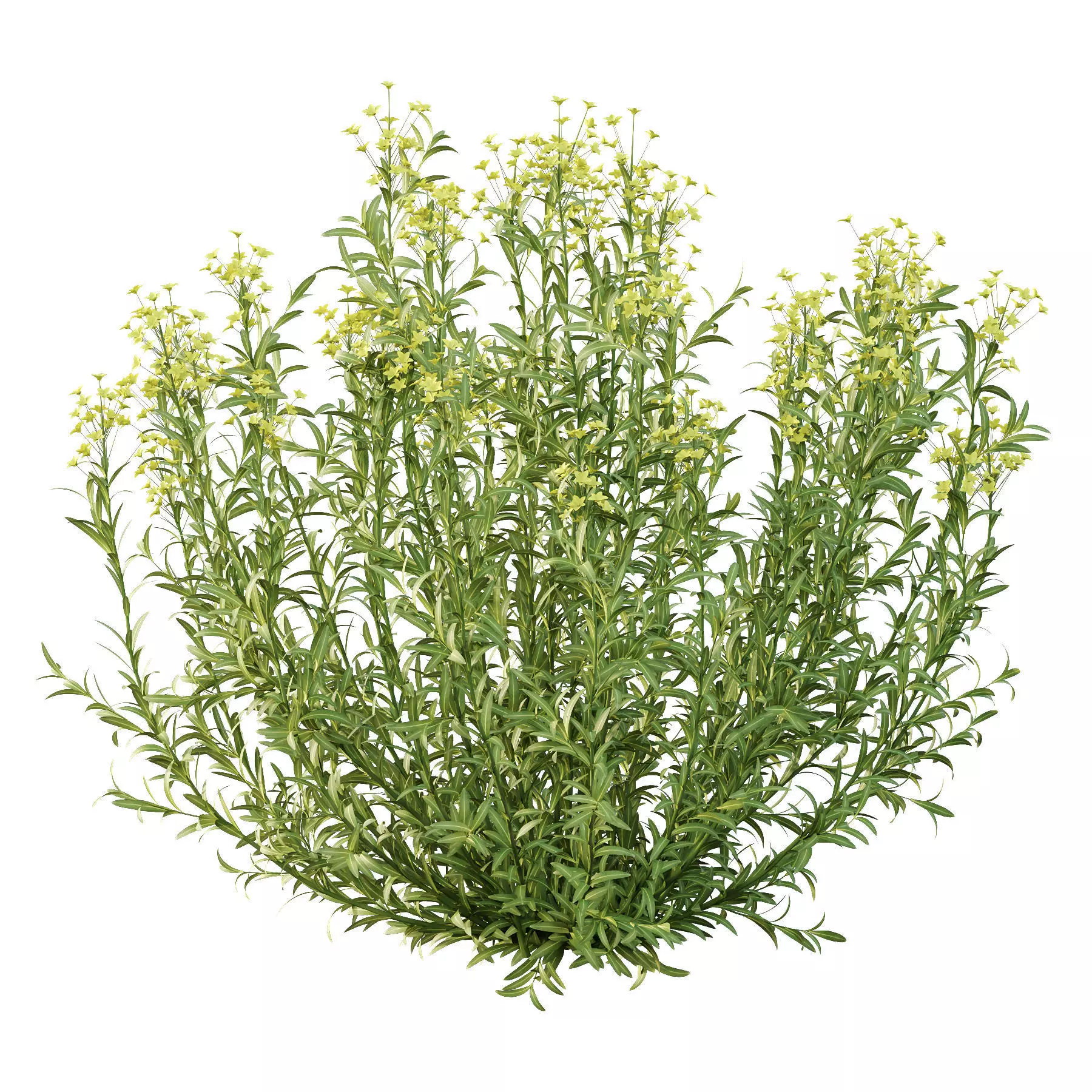 Excellent collection of plants Bush  400 Different Models _176