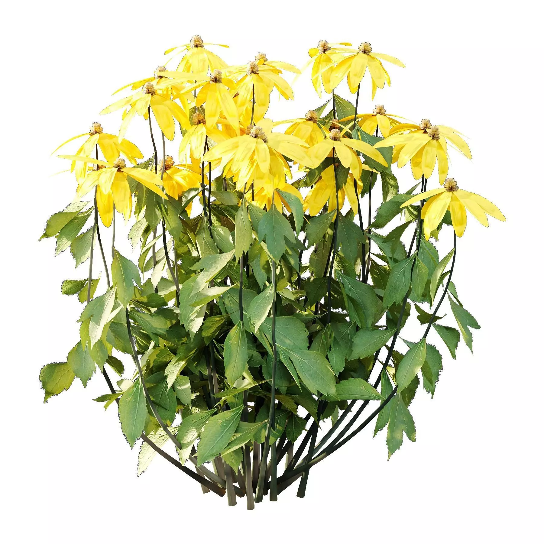 Excellent collection of plants Bush  400 Different Models _194