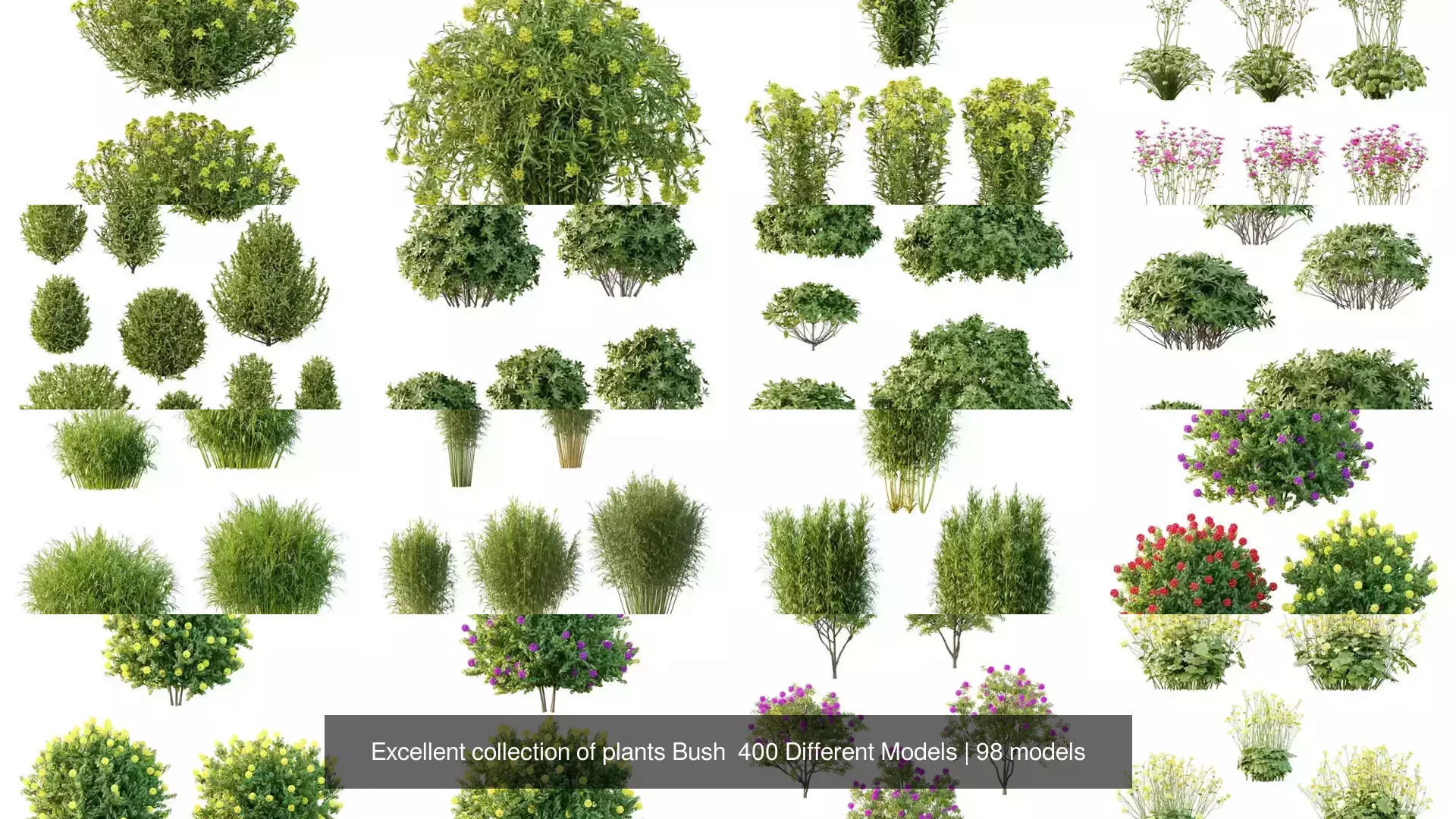 Excellent collection of plants Bush  400 Different Models _9