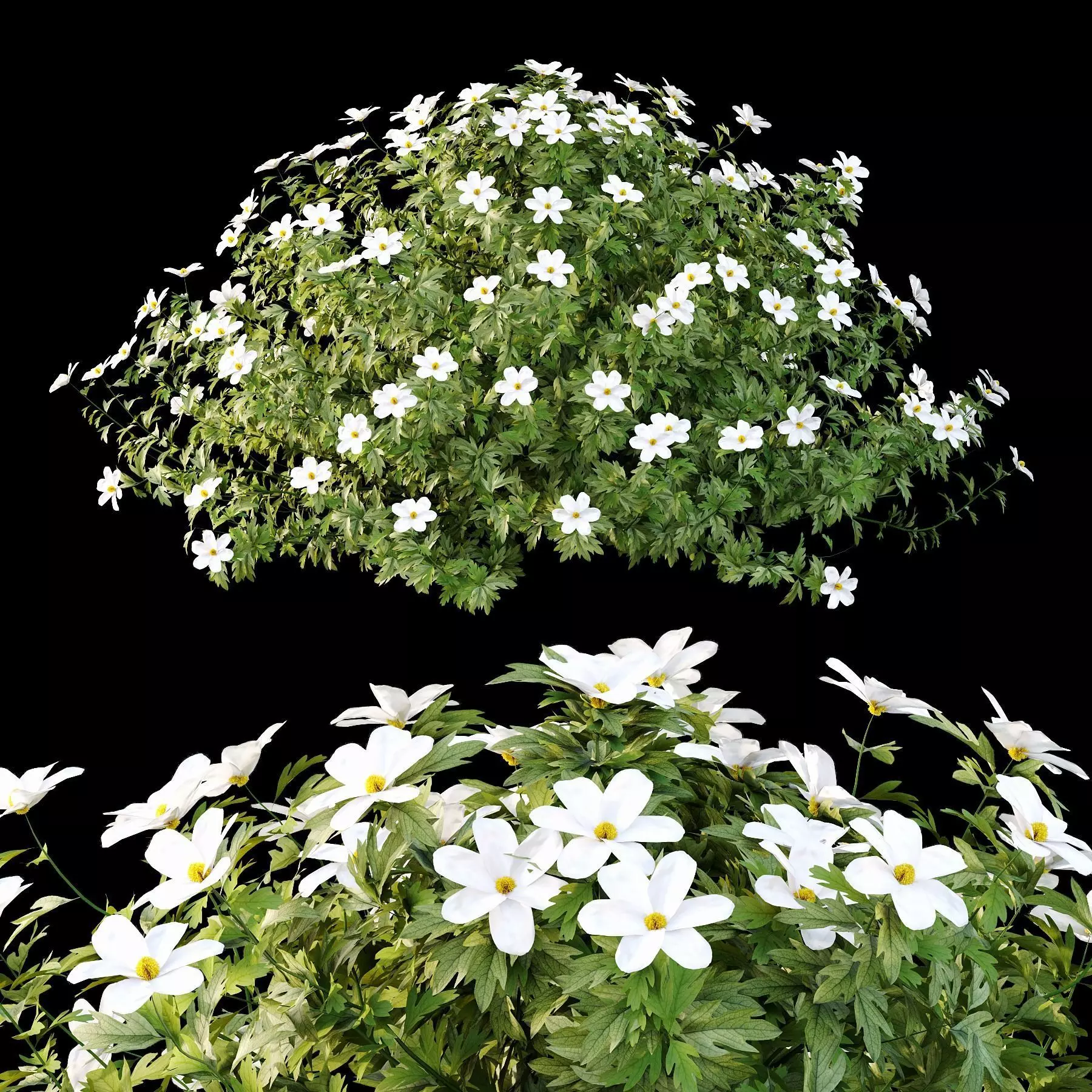 Excellent collection of plants Bush  400 Different Models _178