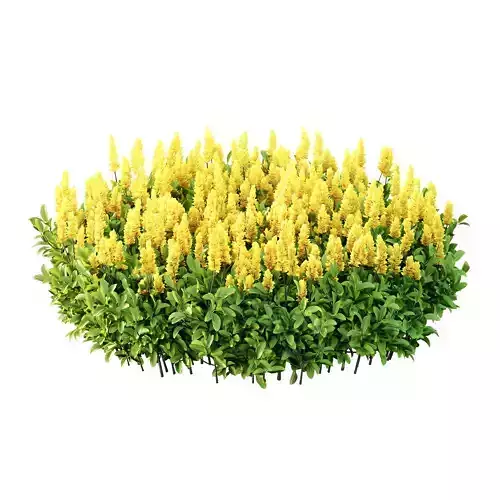 Excellent collection of plants Bush  400 Different Models _50