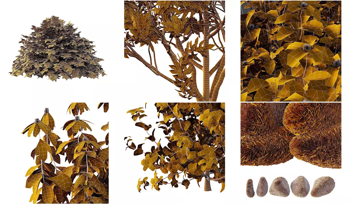 Excellent collection of plants Bush  400 Different Models _18