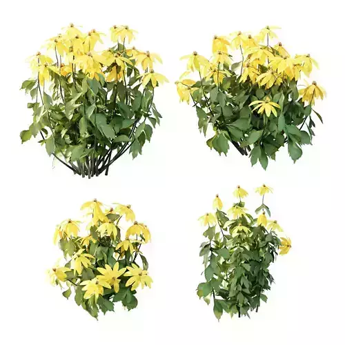 Excellent collection of plants Bush  400 Different Models _87