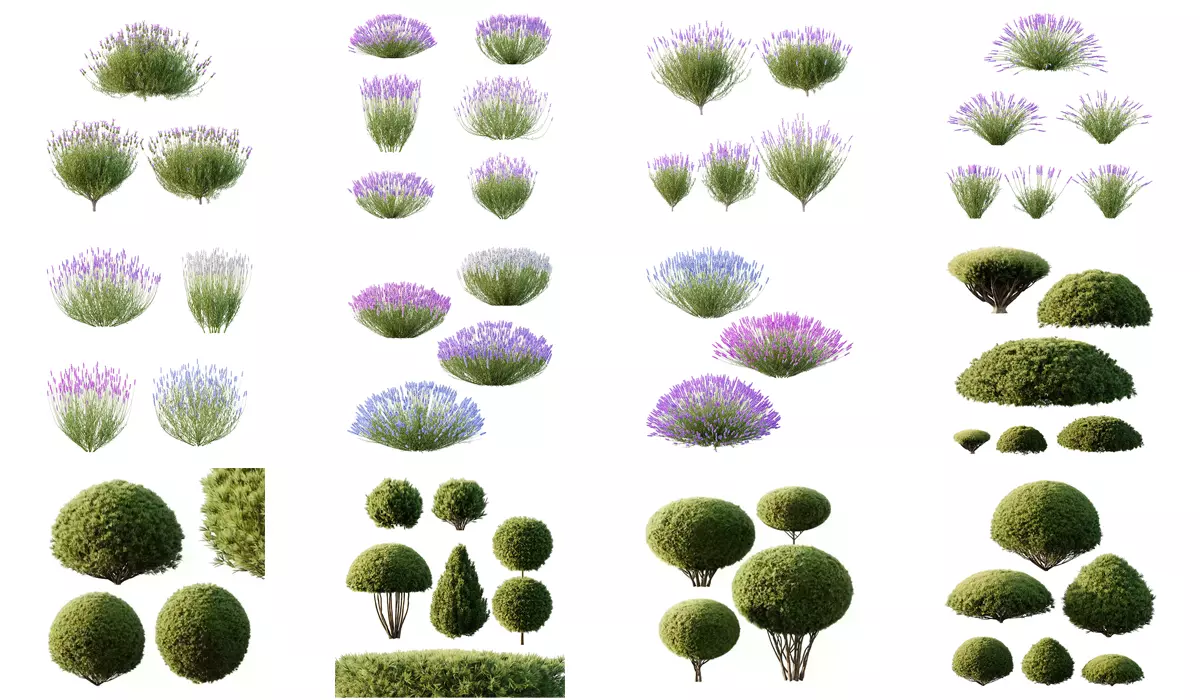 Excellent collection of plants Bush  400 Different Models _10
