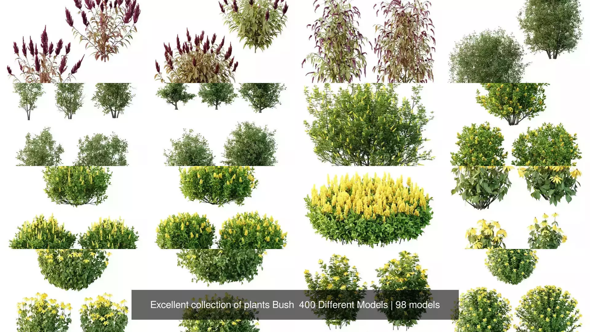 Excellent collection of plants Bush  400 Different Models _5