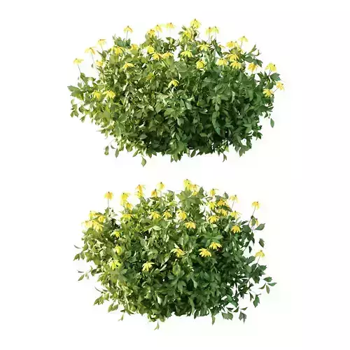 Excellent collection of plants Bush  400 Different Models _110