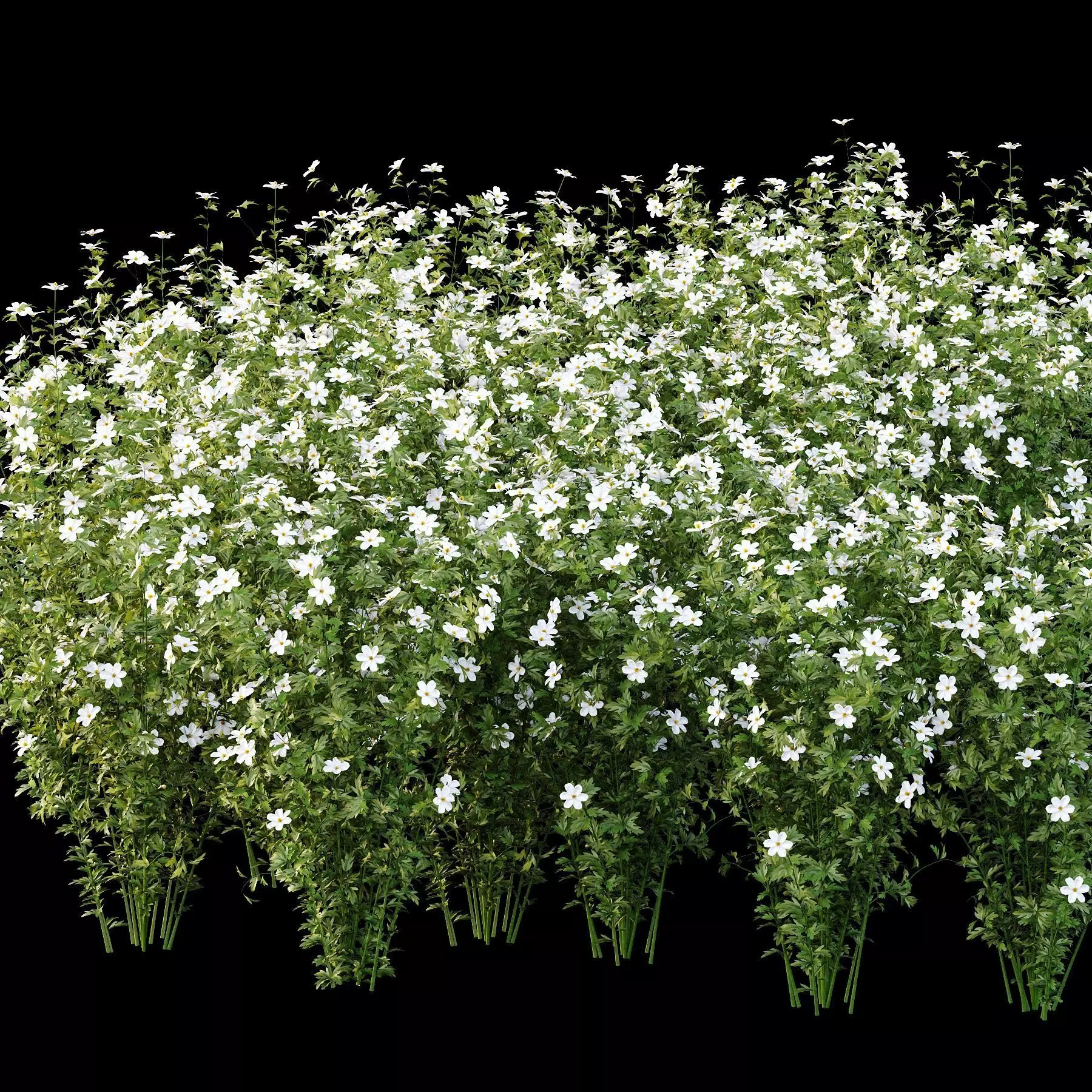 Excellent collection of plants Bush  400 Different Models _135