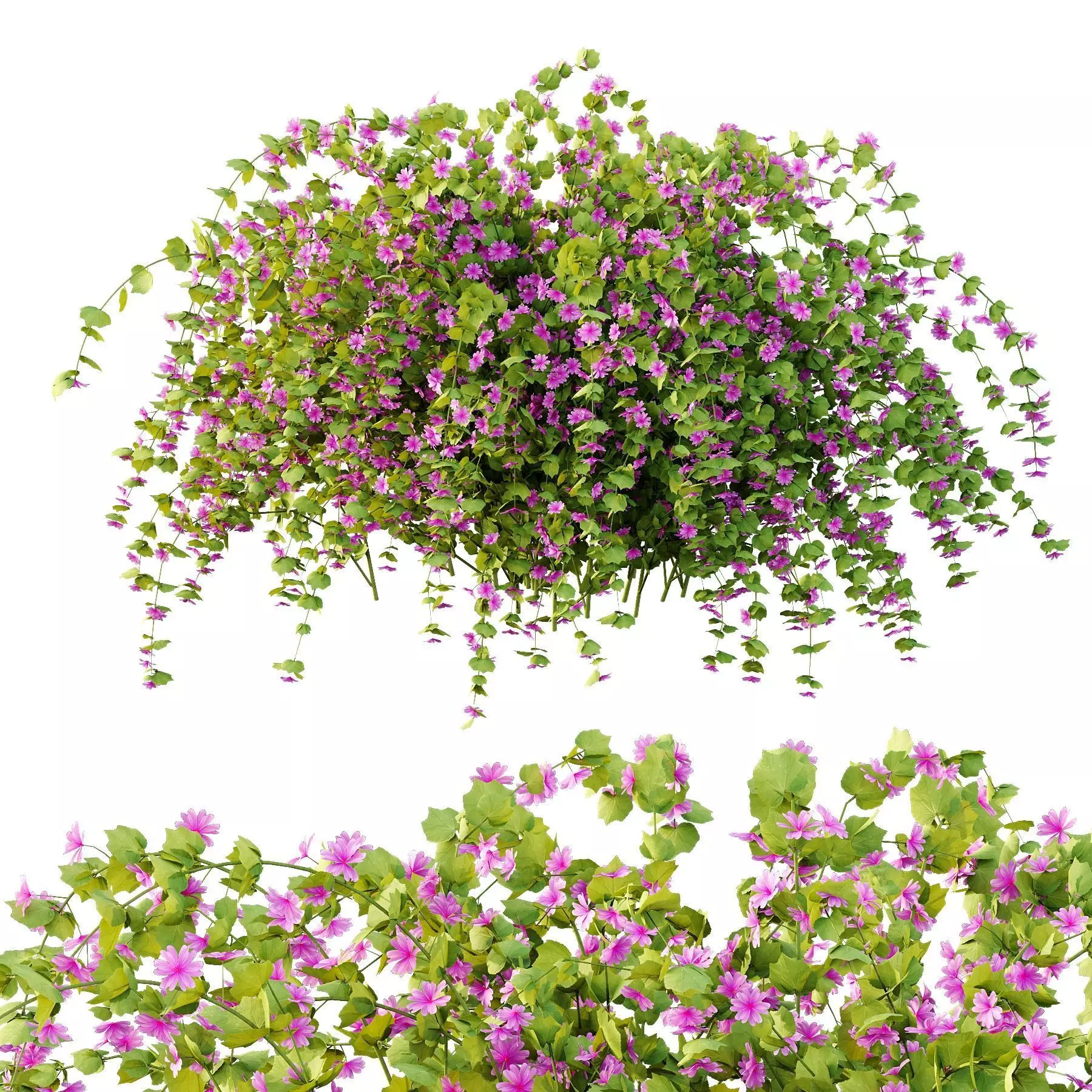 Excellent collection of plants Bush  400 Different Models _151